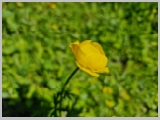 Slika_037.webp