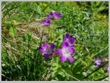 Slika_041.webp