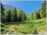 Slika_043.webp