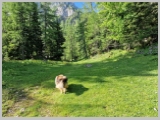 Slika_045.webp