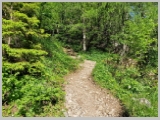 Slika_049.webp