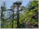 Slika_053.webp