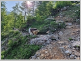 Slika_054.webp