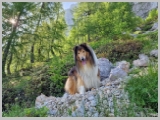 Slika_055.webp