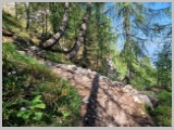 Slika_057.webp
