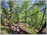 Slika_059.webp