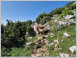 Slika_077.webp