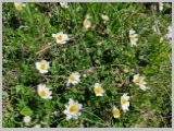 Slika_078.webp