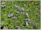 Slika_079.webp