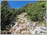 Slika_086.webp