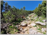 Slika_088.webp