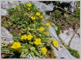 Slika_091.webp