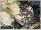 Slika_092.webp