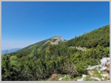 Slika_097.webp