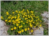 Slika_098.webp