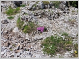 Slika_102.webp