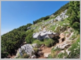 Slika_103.webp