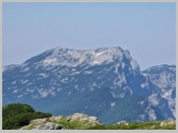 Slika_113.webp