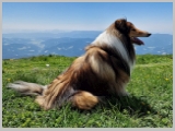 Slika_120.webp
