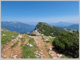 Slika_131.webp