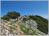 Slika_133.webp