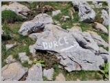 Slika_139.webp