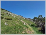 Slika_142.webp