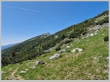 Slika_143.webp