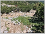 Slika_145.webp