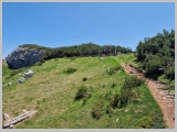 Slika_148.webp