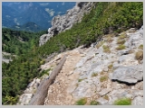 Slika_149.webp