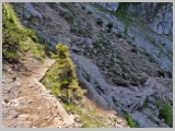 Slika_155.webp