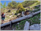 Slika_157.webp