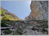 Slika_158.webp