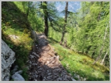 Slika_164.webp