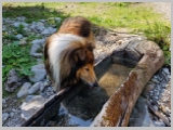 Slika_177.webp