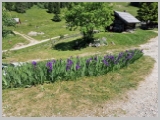 Slika_184.webp