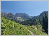 Slika_188.webp