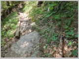 Slika_194.webp