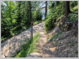 Slika_197.webp