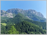 Slika_200.webp