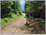 Slika_201.webp