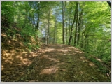 Slika_003.webp
