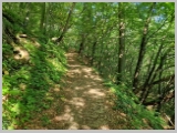 Slika_007.webp