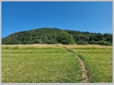 Slika_009.webp