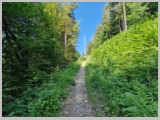 Slika_014.webp