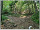 Slika_015.webp