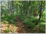 Slika_028.webp
