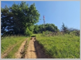 Slika_031.webp