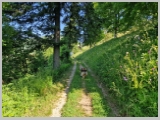 Slika_033.webp